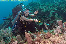 lionfish hunting